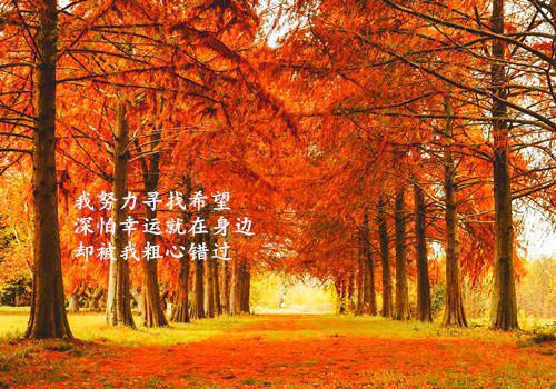 （用科技制霸领海）全文免费阅读无弹窗大结局_（江峰）用科技制霸领海最新章节列表_笔趣阁（用科技制霸领海（江峰）