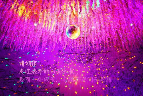 顾砚尘的小说旧情已逝，你才知爱我正版顾砚尘全文阅读