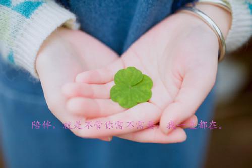 小说体制内月薪4000，相亲时他妈替他要了50万彩礼主角为陈浩月薪苏晚免费阅读