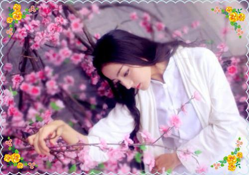 一斤的小说世子拔刀后，我反杀了他夜枭阿蛮全文阅读