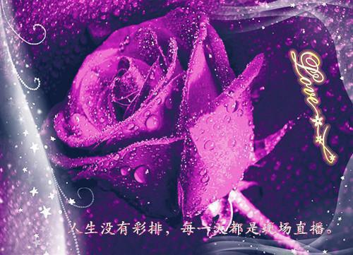 (番外)+(全文)潮起时问归期：全文+后续+结局（江以蓁陆临深）全文免费阅读无弹窗大结局_潮起时问归期：全文+后续+结局最新章节列表_笔趣阁（潮起时问归期：全文+后续+结局）