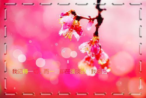 (番外)+(全文)此去经年人未还：全文无删减+番外免费下载阅读_(沈青禾霍沉洲)此去经年人未还：全文无删减+番外最新章节列表_笔趣阁（沈青禾霍沉洲）