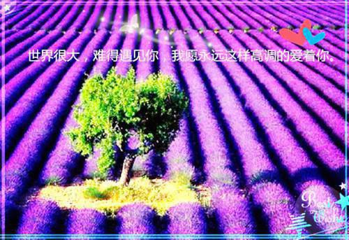 雇佣军团（萧猛）全文免费阅读无弹窗大结局_（雇佣军团）萧猛免费阅读无弹窗最新章节列表_笔趣阁（雇佣军团）