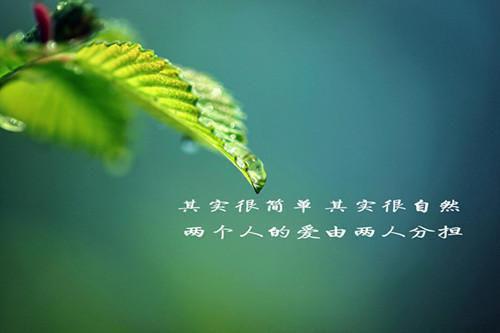 惊娱乐圈真千金她才是绝世团宠（惊娱乐圈真千金她才是绝世团宠）全文免费阅读无弹窗大结局_（惊娱乐圈真千金她才是绝世团宠）惊娱乐圈真千金她才是绝世团宠免费阅读无弹窗最新章节列表_笔趣阁（惊娱乐圈真千金她才是绝世团宠）