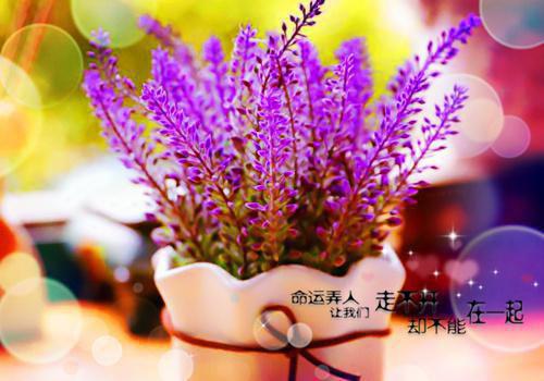 林薇薇张超姜玥全章节_蹭车还要我买单？我一脚油门，让她在柜台哭成狗小说阅读