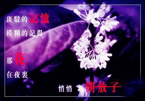 爱意依然：+后续+结局+结局（许奚念谢听桉）全文免费阅读无弹窗大结局_爱意依然：+后续+结局免费阅读最新章节列表_笔趣阁（爱意依然：+后续+结局）