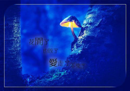 新婚夜_植物人老公突然亲了我全文免费阅读大结局_童颜陆霆骁全集大结局小说