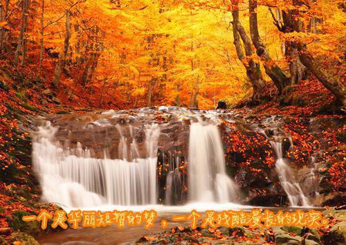 星辰絮散云岫现：结局+番外小说全文免费阅读（苏玄翎苏烬渊楚星瑶）星辰絮散云岫现：结局+番外全文免费阅读无弹窗大结局_（苏玄翎苏烬渊楚星瑶）最新章节列表_笔趣阁（星辰絮散云岫现：结局+番外）苏玄翎苏烬渊楚星瑶