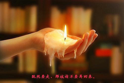 苏楷陆殊全文免费阅读大结局_苏楷陆殊全文免费阅读最新章节列表笔趣阁_（苏楷陆殊）
