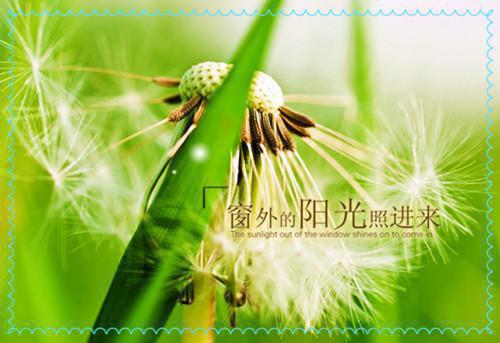 霍清寒裴烟(霍清寒裴烟)小说全文免费阅读无弹窗大结局_霍清寒裴烟抖音小说的名字最新章节列表