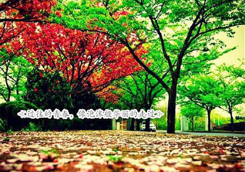 全文+番外江渝霍沉渊《随母改嫁进大院，四个大佬继兄抢着宠》小说笔趣阁全本_江渝霍沉渊最新章节免费在线阅读_笔趣阁（江渝霍沉渊）